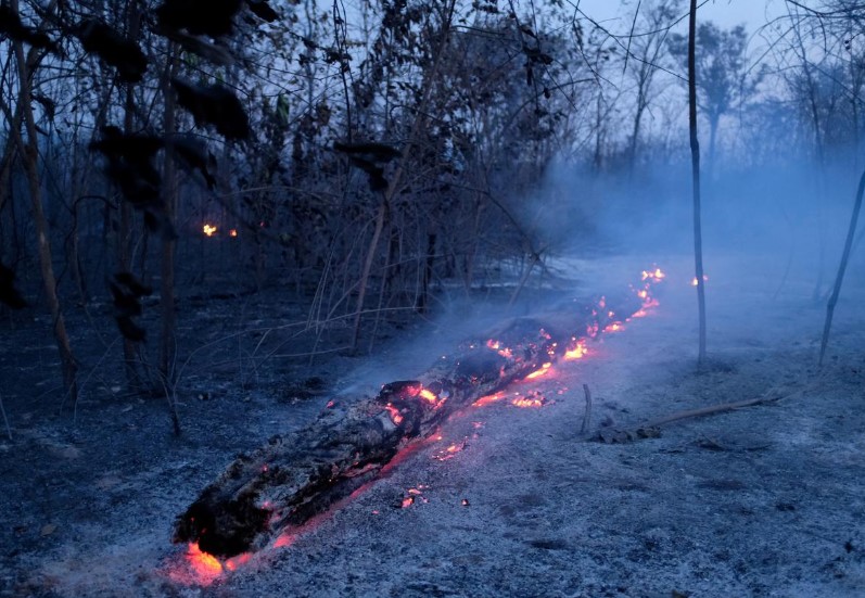 ბრაზილიელი მეტეოროლოგები - წვიმა ამაზონის ტყეში ხანძრის ჩაქრობას რამდენიმე კვირა ვერ შეძლებს