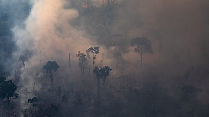 Medianın məlumatına görə, Braziliya hökuməti Böyük Yeddiliyin maliyyə yardımından imtina edir