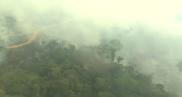 ბრაზილიის ხელისუფლებამ ტერიტორიის გაწმენდის მიზნით ტყის გადაწვა აკრძალა