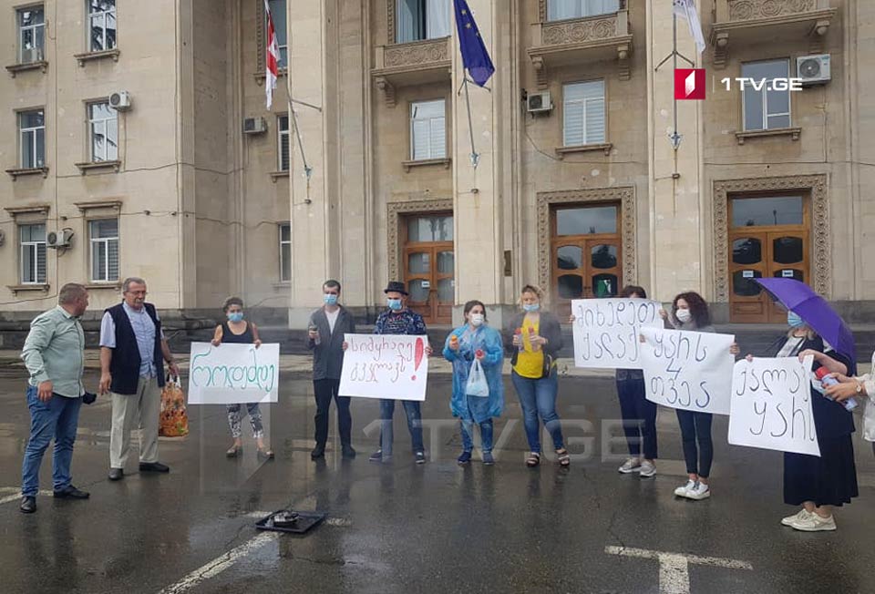 „ევროპული საქართველოს“ წევრებმა და სამოქალაქო აქტივისტებმა რუსთავში აქცია გამართეს