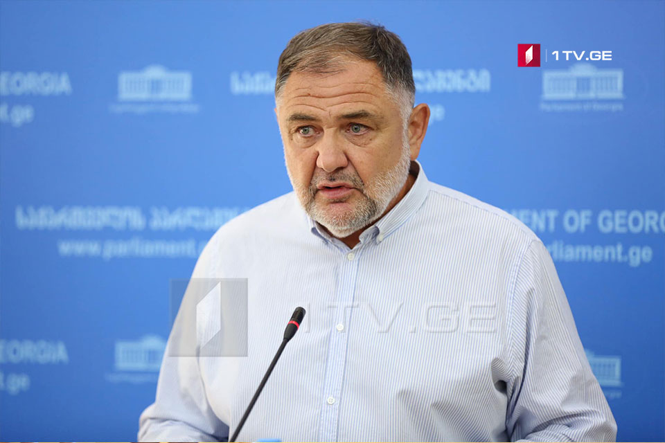 ბიძინა გეგიძეს უმრავლესობა დაატოვებინეს