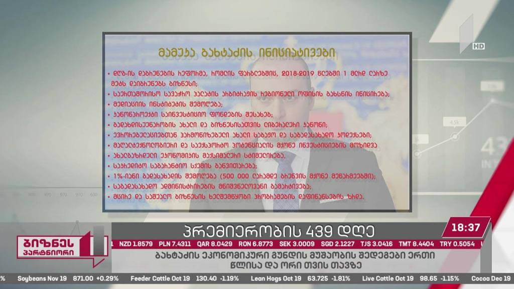 მამუკა ბახტაძის პრემიერობის 439 დღე