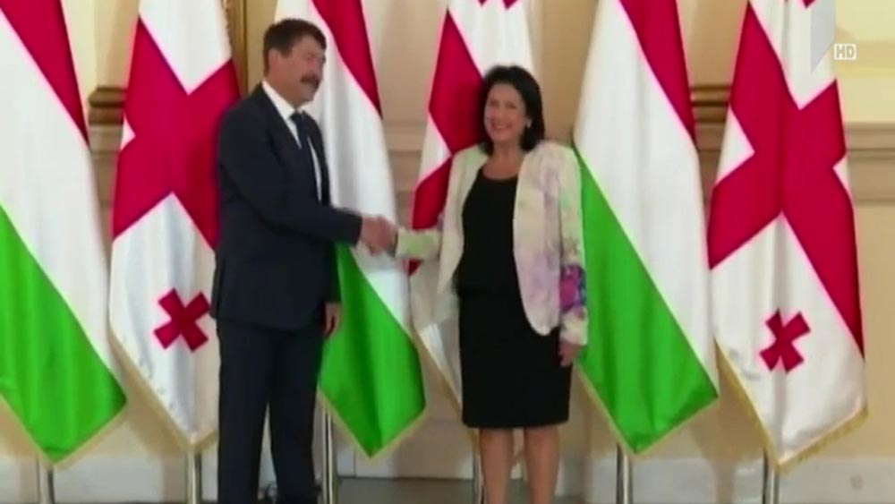 უნგრეთის პრეზიდენტის ვიზიტი