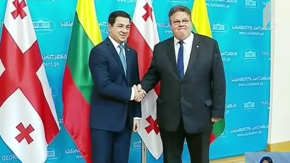 ლინას ლინკევიჩუსის განცხადება