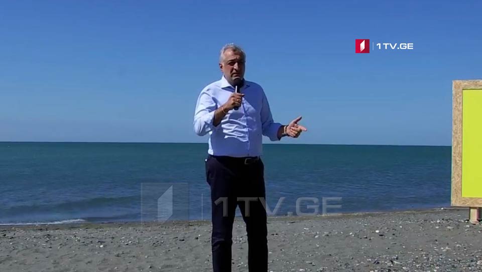 საზოგადოებრივი მოძრაობის პრეზენტაცია