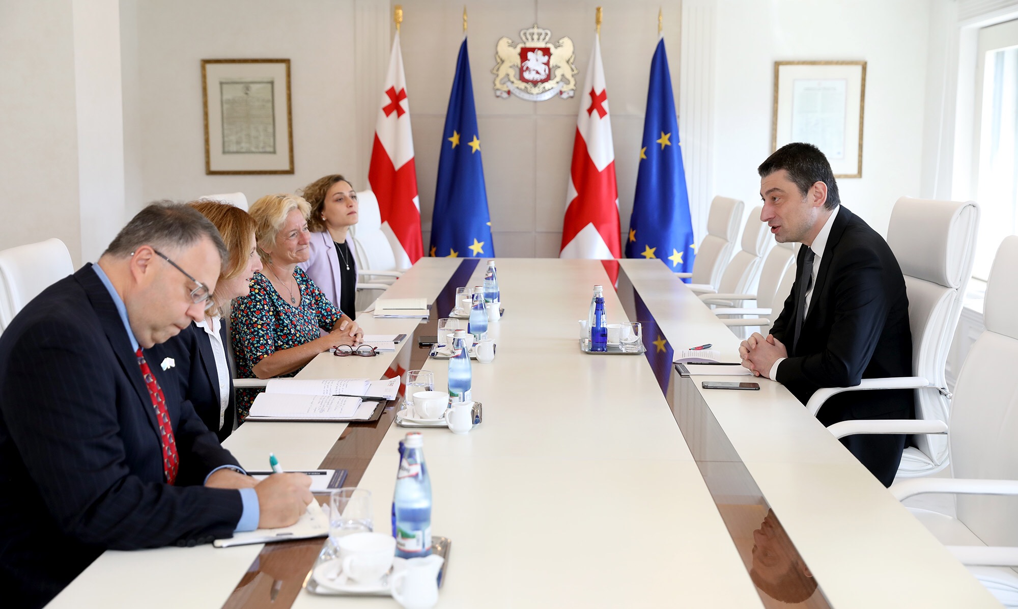 გიორგი გახარია საერთაშორისო ექსპერტ მეგი ნიკოლსონს ადამიანის უფლებების დაცვის საკითხებზე ესაუბრა