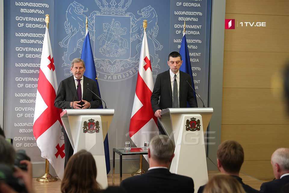 იოჰანეს ჰანი - ევროკავშირი რჩება საქართველოში წარმატებული ძალისხმევისა და რეფორმების მტკიცე პარტნიორად