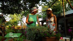 artiSoki.mp4_20190922_190653.052