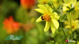 artiSoki.mp4_20190922_190657.628