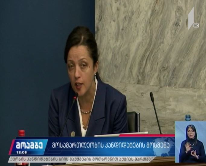 იურიდიულ საკითხთა კომიტეტი თამარ ალანიას უსმენს