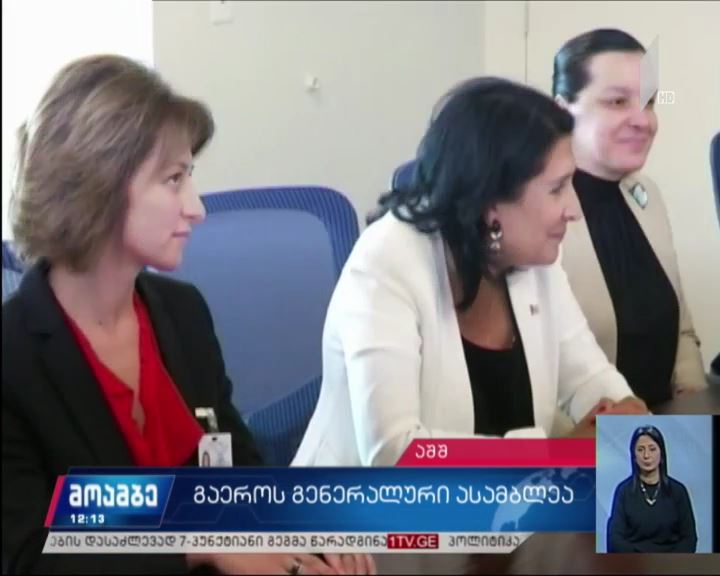 საქართველოს დელეგაცია გაეროს გენერალურ ასამბლეაზე