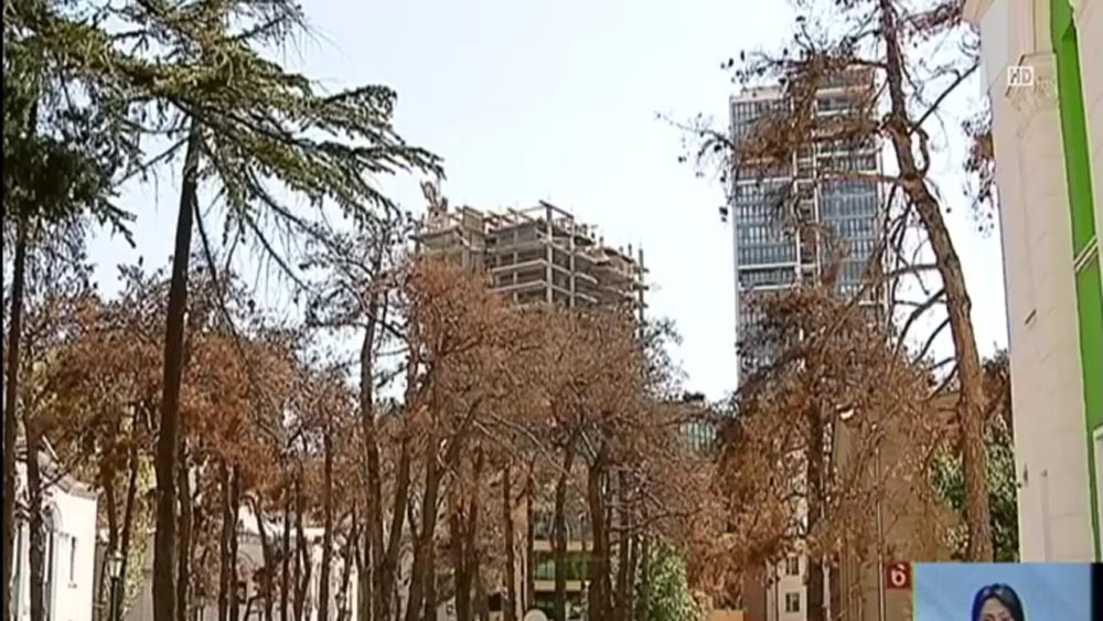 ახალი გამწვანება