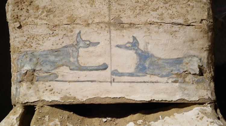ეგვიპტეში უძველესი სამარხები აღმოაჩინეს - კუბოებზე უცნაური იეროგლიფებია დატანილი