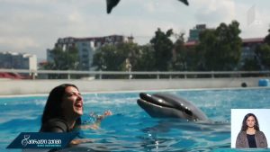 papiashvili_malaz.mp4_20191002_142903.879