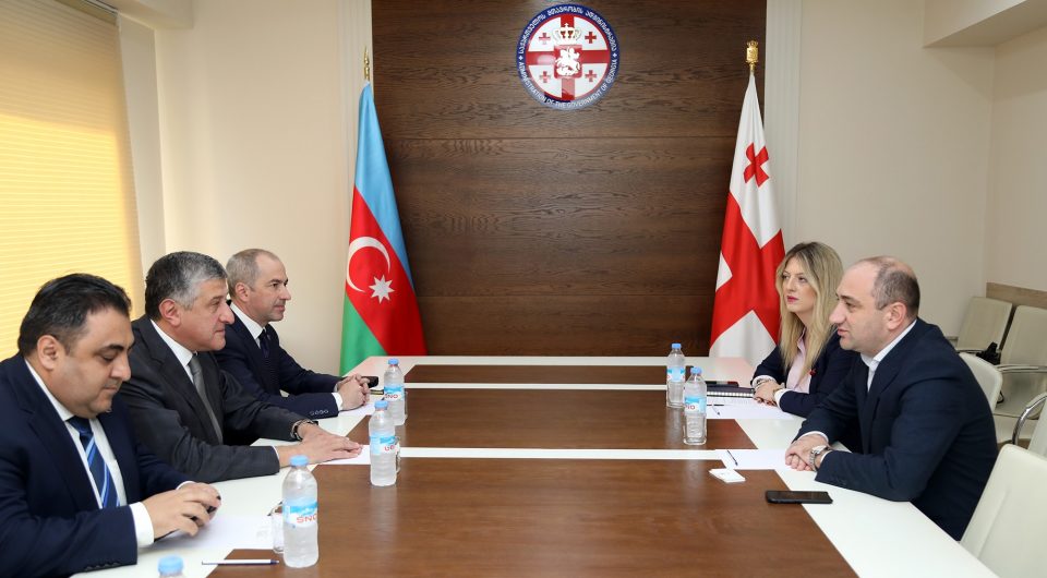 ბიზნესომბუდსმენმა აზერბაიჯანულ მხარესთან ქვეყნებს შორის ბიზნესკავშირების გაღრმავების მნიშვნელობაზე ისაუბრა