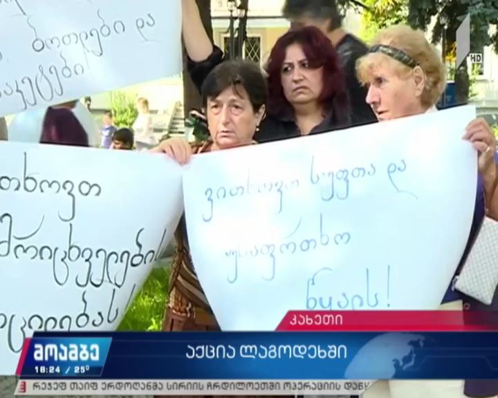 საპროტესტო აქცია ლაგოდეხში
