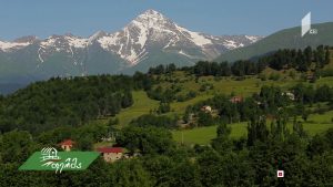 ფერმა 2019 10 06.mp4_20191006_174206.195
