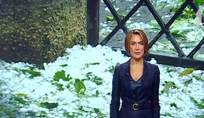 სეტყვამ გორის მუნიციპალიტეტის სოფლები დააზარალა