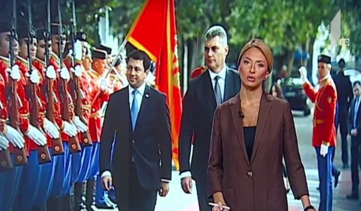 საპარლამენტო დელეგაციის ვიზიტი მონტენეგროში