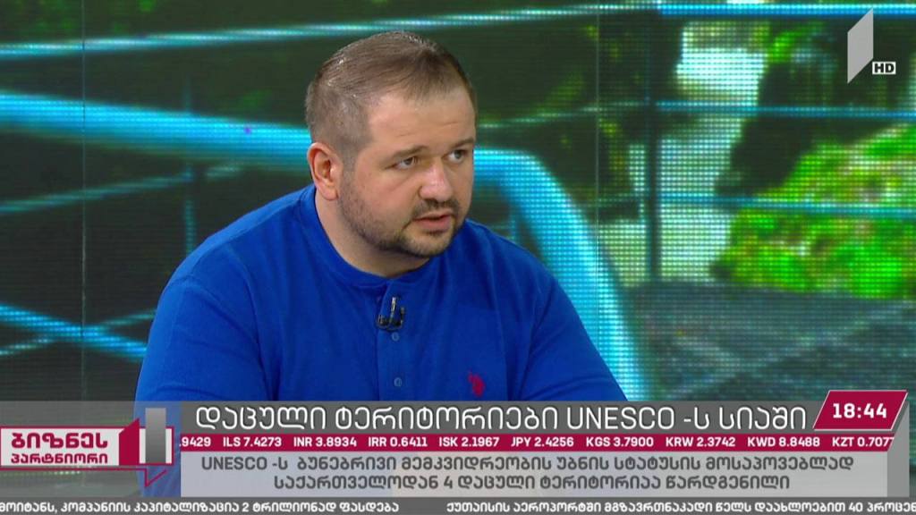საქართველოს დაცული ტერიტორიები იუნესკო-ს ნომინაციაზეა წარდგენილი