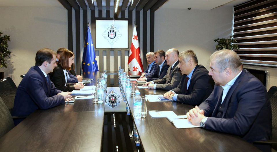 სახელმწიფო უსაფრთხოების სამსახურის უფროსის მოვალეობის შემსრულებელი სახელმწიფო ინსპექტორს შეხვდა