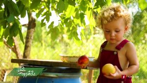 ფერმა 2019 10 13.mp4_20191013_174254.580