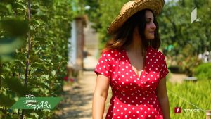 ფერმა 2019 10 13.mp4_20191013_174310.260