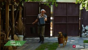 ფერმა 2019 10 20.mp4_20191020_144259.980