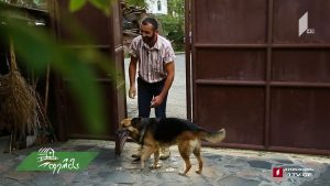 ფერმა 2019 10 20.mp4_20191020_144340.173