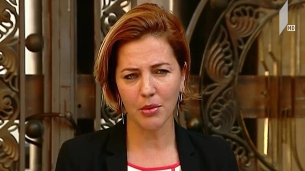 ანა დოლიძის ბრიფინგი