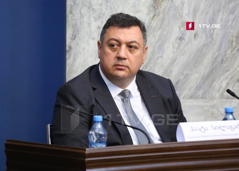 მოსამართლე პაატა სილაგაძე დეპუტატების შეკითხვებს პასუხობს
