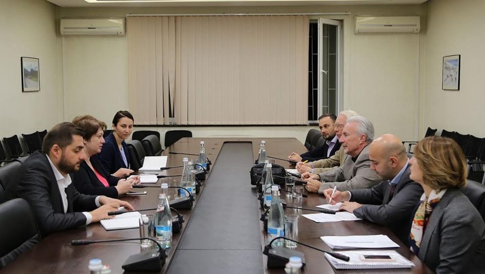 მაია ცქიტიშვილი „ანაკლიის განვითარების კონსორციუმის“ ხელმძღვანელებს შეხვდა