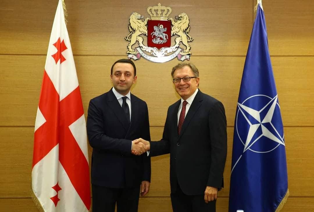 ირაკლი ღარიბაშვილმა სახალხო დიპლომატიის საკითხებში ნატო-ს გენერალური მდივნის თანაშემწეს უმასპინძლა