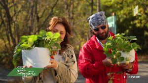ფერმა 2019 11 03.mp4_20191103_142124.240