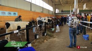 ფერმა 2019 11 03.mp4_20191103_143905.012