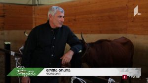 ფერმა 2019 11 03.mp4_20191103_144000.134