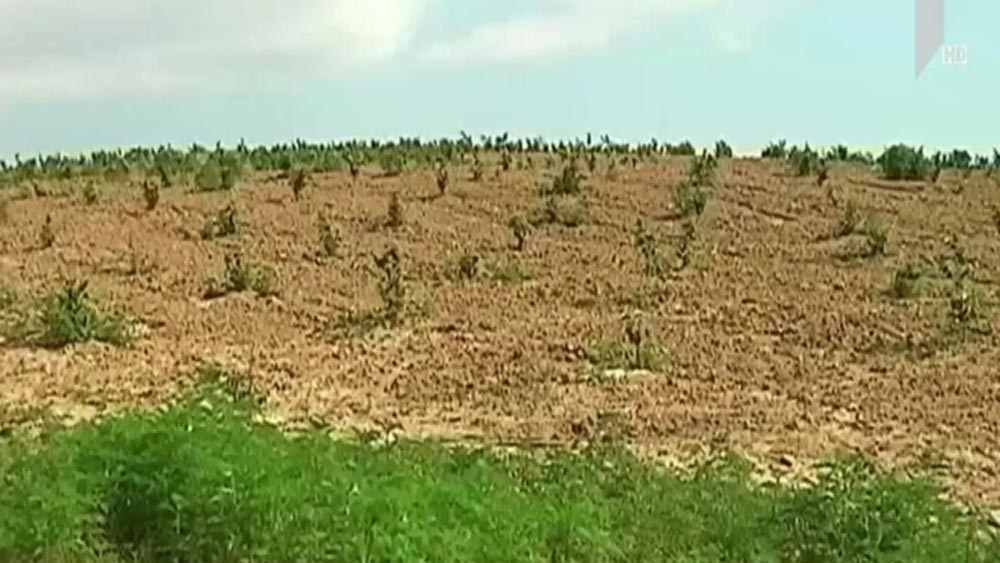 მიწის რეფორმა