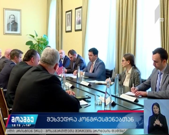 პარლამენტის თავმჯდომარე ამერიკელ კონგრესმენებს შეხვდა