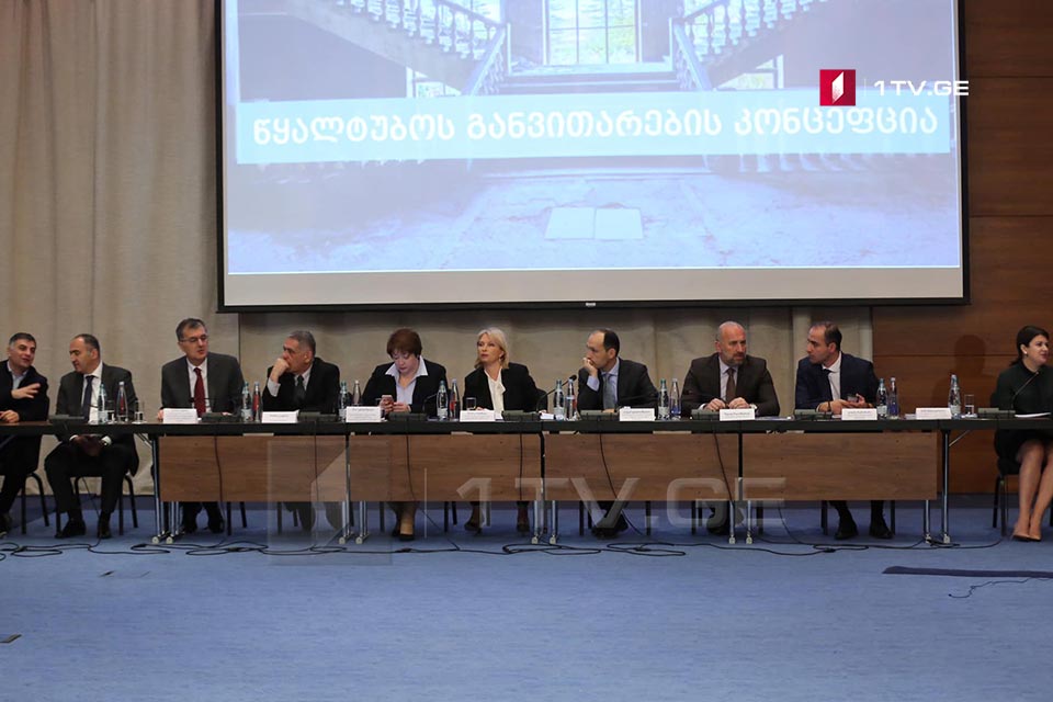 წყალტუბოს განვითარების გეგმის საჯარო განხილვა