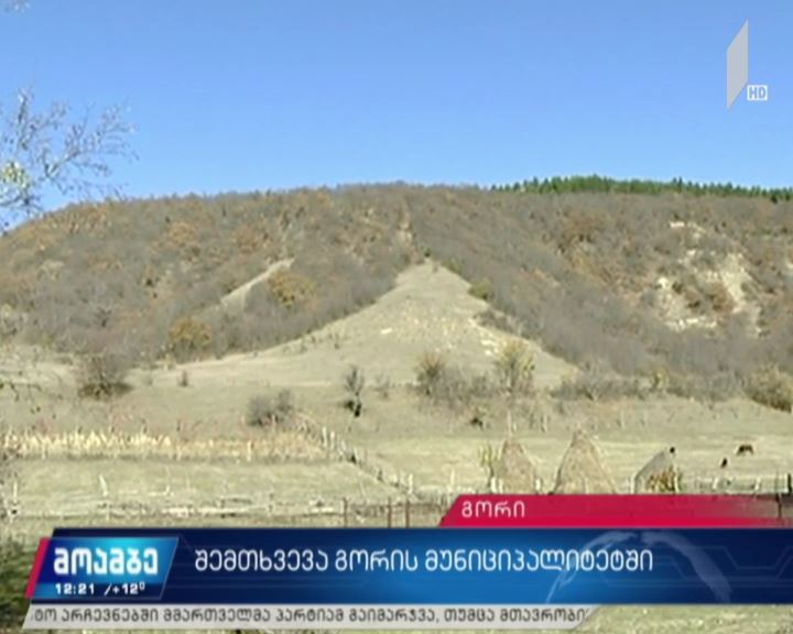 შემთხვევა გორის მუნიციპალიტეტში