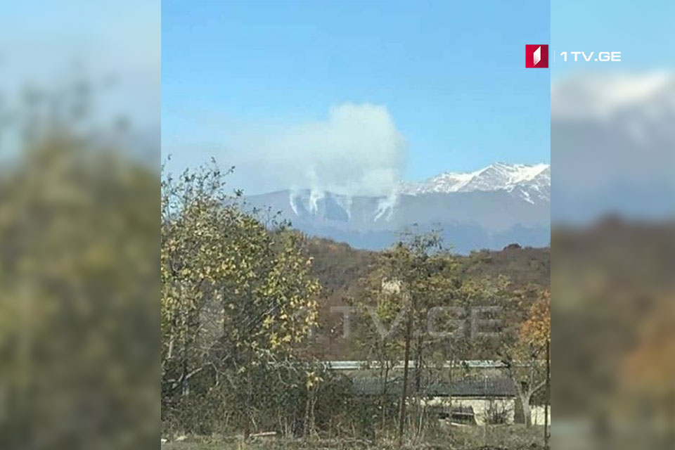 თელავის მუნიციპალიტეტში, საყორნის მთაზე ხანძარია