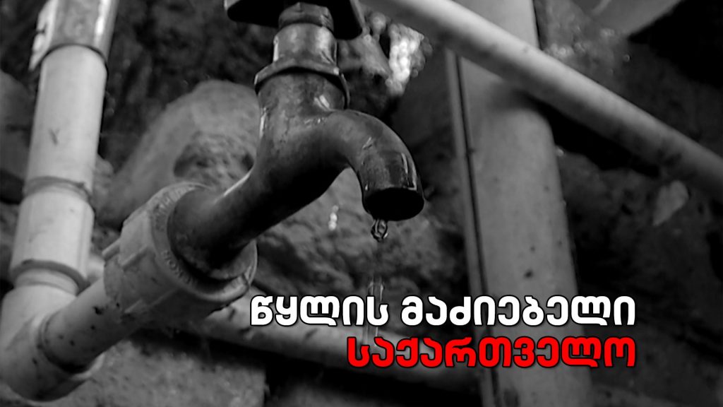 „წყლის მაძიებელი საქართველო“