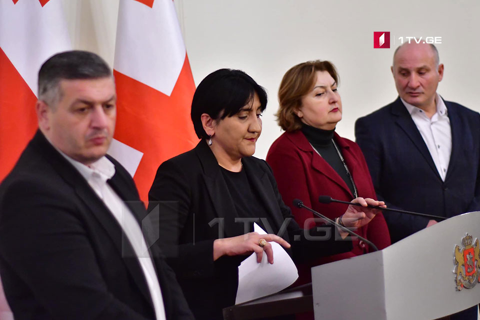 ირმა ინაშვილის ბრიფინგი
