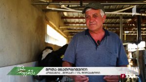 ფერმა 2019 11 17.mp4_000854480
