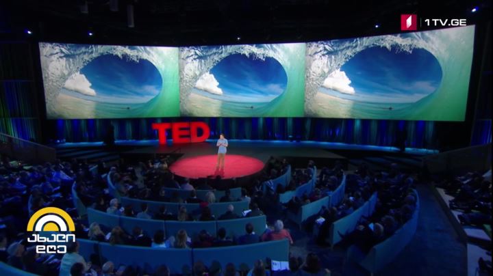 TED - მულტიმედიური კონფერენცია