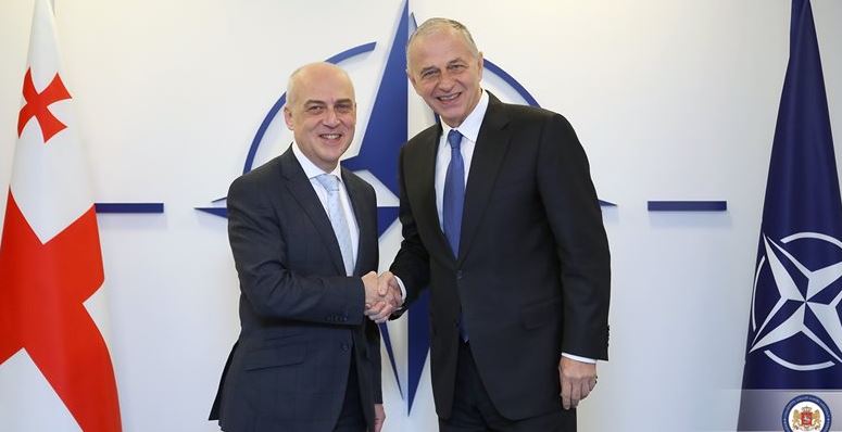დავით ზალკალიანი ნატო-ს გენერალური მდივნის მოადგილეს მირჩა ჯოანას შეხვდა 