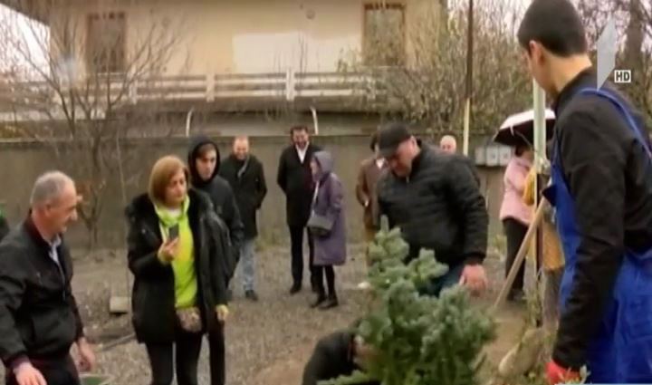 პროფესიული პროგრამები სკოლებში