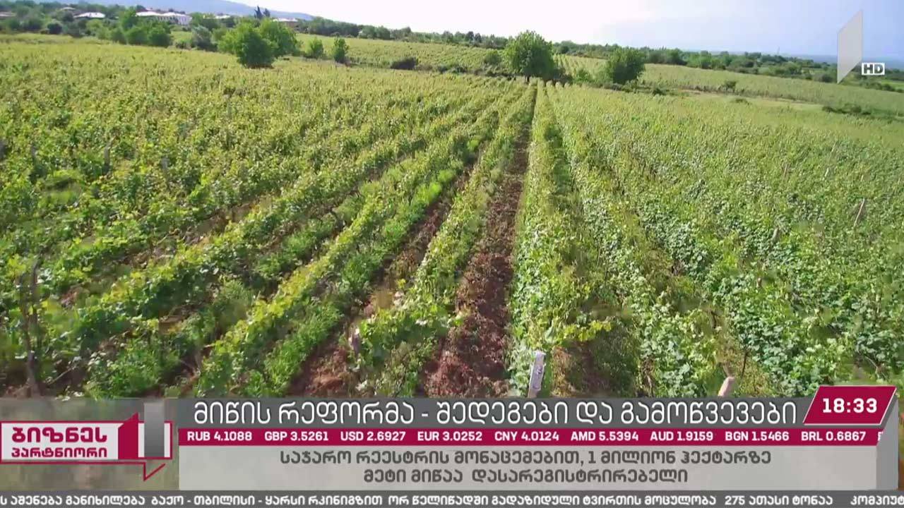 მიწის რეფორმა - შედეგები და გამოწვევები