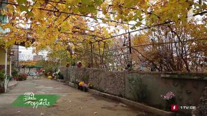 ფერმა 2019 11 24.mp4_001103080