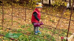 ფერმა 2019 11 24.mp4_001279400